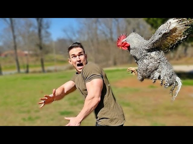 30 Day Release Plan